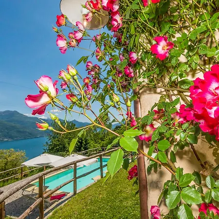 Frasca Apartment Stazzona